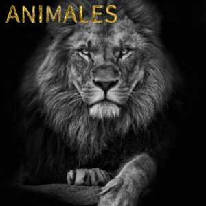 Animales