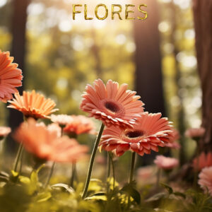 Flores