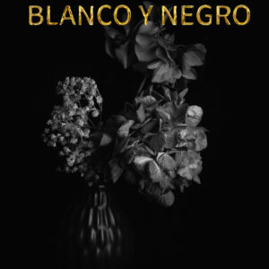 Blanco y Negro