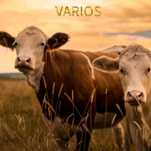 Varios