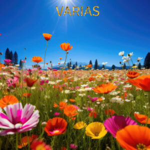 varias