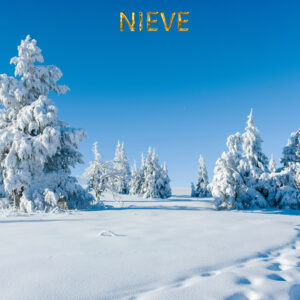 Nieve