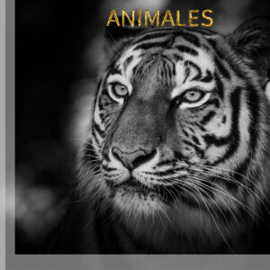 ANIMALES