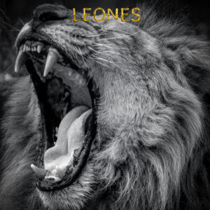 Leones