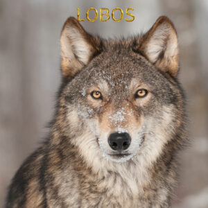 Lobos